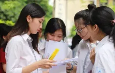 10 cơ sở giáo dục đại học Việt Nam lọt BXH đại học thế giới QS 2026