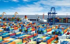 Dồn lực vận chuyển các đơn hàng xuất khẩu Hoa Kỳ trước 9/7