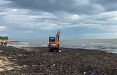 Rác phủ kín bãi biển Nhật Lệ sau mưa bão