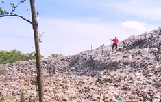 Rác "nuốt" đất, nước ô nhiễm "giết" rau vì bãi rác lộ thiên