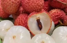 Vải thiều Việt Nam chinh phục người tiêu dùng Anh