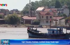 Thanh Hóa tập trung phòng chống khai thác IUU