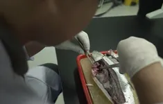 Người dân Đông Nam Á dễ nhiễm vi nhựa nhất thế giới, vì một lý do!
