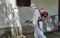 Bệnh liên cầu lợn lan rộng ở Huế, 1 ngưởi tử vong, nhiều bệnh nhân nặng xin về nhà