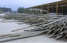 Thanh Hóa yêu cầu doanh nghiệp chấp hành nghiêm pháp luật sau khi dự án được gỡ cảnh báo vi phạm