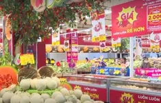 5 tháng đầu năm, Việt Nam chi gần 1 tỷ USD nhập khẩu trái cây