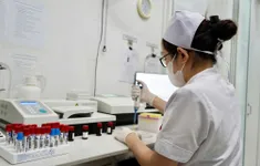 Gần 900 trẻ Nghệ An nhiễm giun, sán chó mèo: Cảnh báo và khuyến cáo phụ huynh