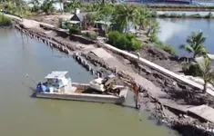 Sạt lở bủa vây Cà Mau: Công trình dân sinh liên tiếp bị “nuốt chửng”
