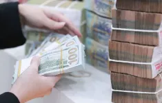 Hoạt động bảo hiểm tỷ giá của doanh nghiệp xuất khẩu tăng mạnh