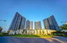 Phiên livestream đặt giá NobleGo tối 8/7: Khách sở hữu căn hộ cao cấp Sunshine City rẻ hơn 2 tỷ đồng