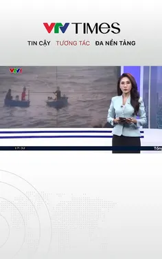 Chìm tàu cá ,11 ngư dân may mắn được cứu sống