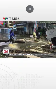 TP. Hồ Chí Minh: Nhiều cây xanh bật gốc, gãy đổ do mưa