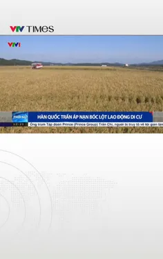 Hàn Quốc trấn áp nạn bóc lột lao động di cư 