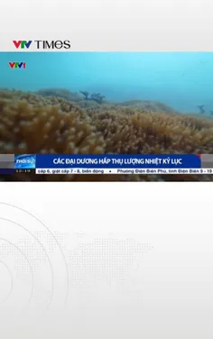 Các đại dương trên thế giới hấp thụ lượng nhiệt kỷ lục 