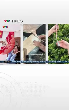 Làn gió mới từ quạt Chàng Sơn