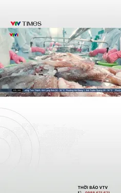Việt Nam là nhà cung cấp hải sản chính cho Campuchia