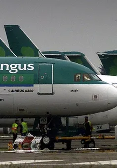 Ireland: Hành khách tử vong sau khi... cắn người trên máy bay