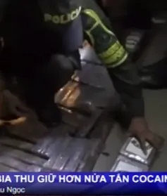 Nửa tấn cocaine ngụy trang trong xe bus chở CĐV bóng đá