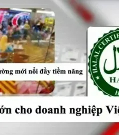 Chứng nhận Halal - Cơ hội không thể bỏ qua cho các DN Việt