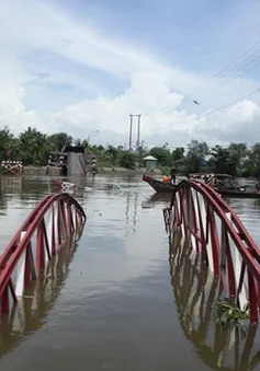 TP. HCM: Sà lan tông sập cầu Cái Tâm