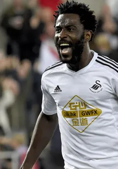 Man City chính thức sở hữu Wilfried Bony với giá 28 triệu bảng