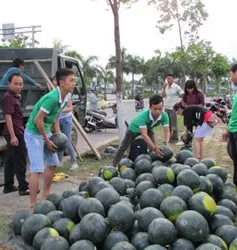 Giới trẻ bán dưa hấu giúp nông dân vùng lụt Quảng Nam