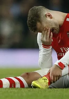 Wilshere tái phát chấn thương, không hẹn ngày trở lại