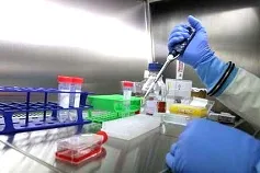 Tìm ra phương thức mới giúp vô hiệu hóa virus Ebola