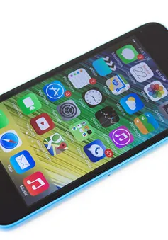 iPhone 6C có thiết kế giống với iPhone 5C?