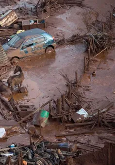 Brazil ngừng hoạt động khu mỏ gây thảm họa vỡ đập