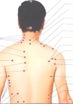Chi hội Thập thủ đạo Hà Nội ra mắt