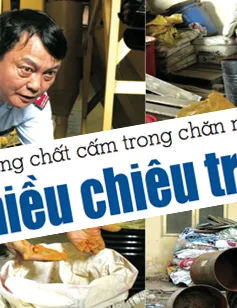 Điểm báo sáng 08/12: Lắm chiêu sử dụng chất cấm trong chăn nuôi