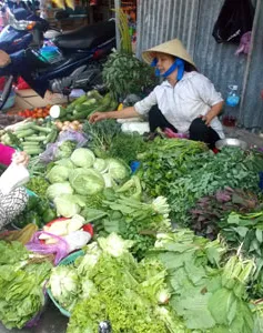 Giá rau tăng do nắng hạn