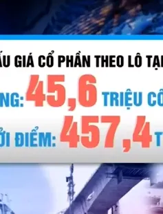 Bán cổ phần theo lô tại Cienco 6 và Cienco 5