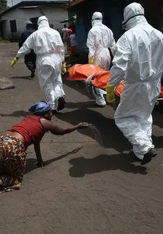 Guinea: Gia tăng các trường hợp nhiễm mới Ebola