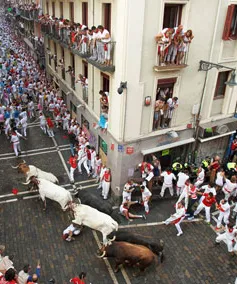 Tây Ban Nha: Tưng bừng lễ hội bò tót San Fermin