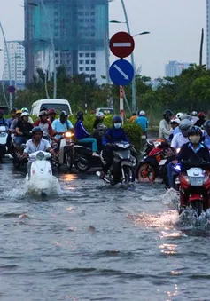 TP.HCM đề xuất 9.926 tỷ xây đê bao, cống chống triều cường