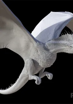 Tìm hiểu cách tạo nên những con rồng trong Game of Thrones