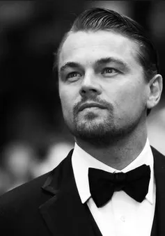 Leonardo DiCaprio quyên tiền “khủng” truy tìm "Cá voi cô đơn"