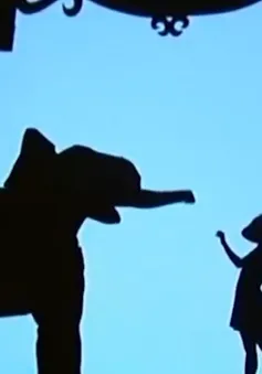 Mãn nhãn màn múa bóng Shadowland độc đáo