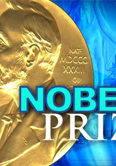 Giải thưởng Nobel 2015 và những bí mật ít người biết