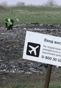 Vụ rơi máy bay MH17: Một năm nhìn lại