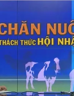 Tái cơ cấu ngành chăn nuôi và thách thức thời hội nhập