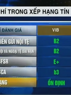 Moody’s đưa ra xếp hạng tín nhiệm 9 ngân hàng Việt Nam