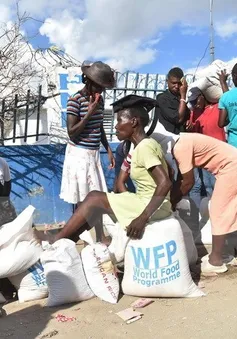 600.000 trẻ em tại Haiti cần viện trợ nhân đạo