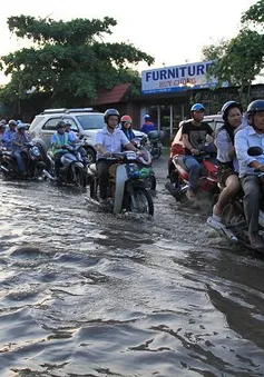 Thí điểm tăng cường phân cấp, ủy quyền cho TP.HCM