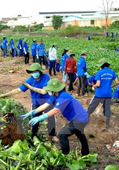 Nhiều hoạt động trong Tháng hành động vì môi trường