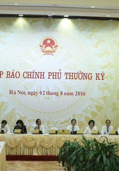 "Công ty Kỳ Anh chôn lấp bùn thải của Formosa là hành vi cố ý"