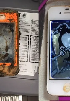 iPhone 4 vẫn “sống nhăn” sau khi bị bỏ quên dưới đáy hồ