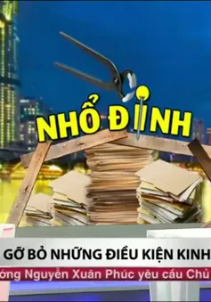 Vì sao các Bộ, ngành chần chừ loại bỏ giấy phép con?